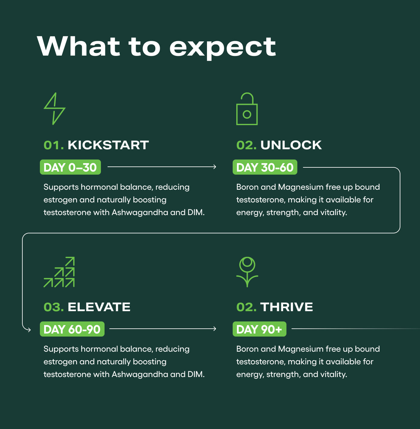 Testosterone Support Complex